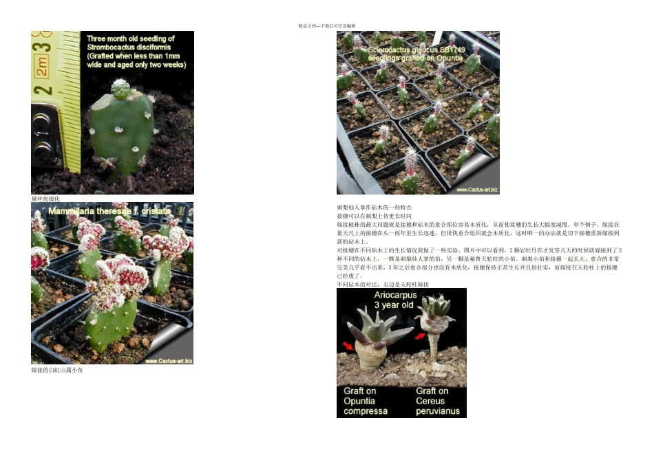 掌科嫁接技术_第2页