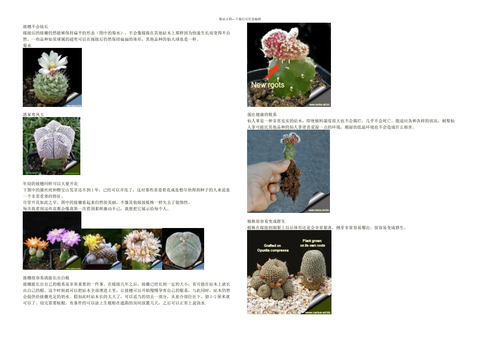 掌科嫁接技术_第3页