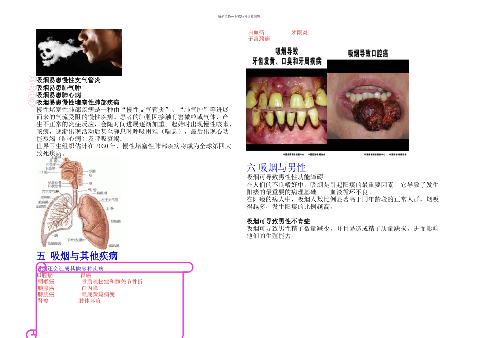 控烟宣传手册_第3页