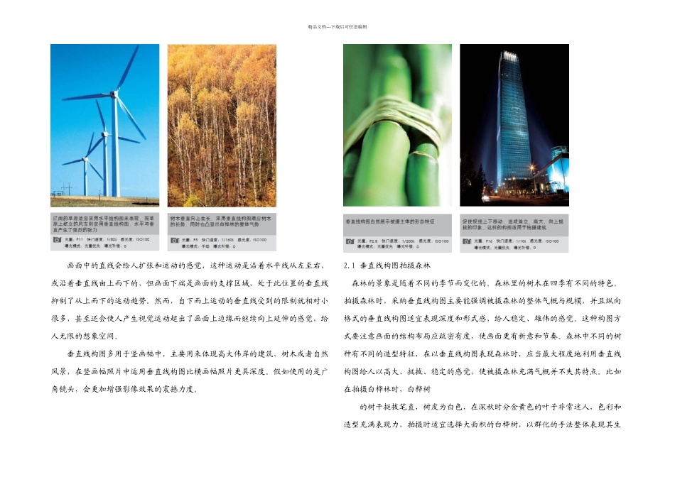 摄影构图线条控制着你的视线——有力的垂直线_第2页