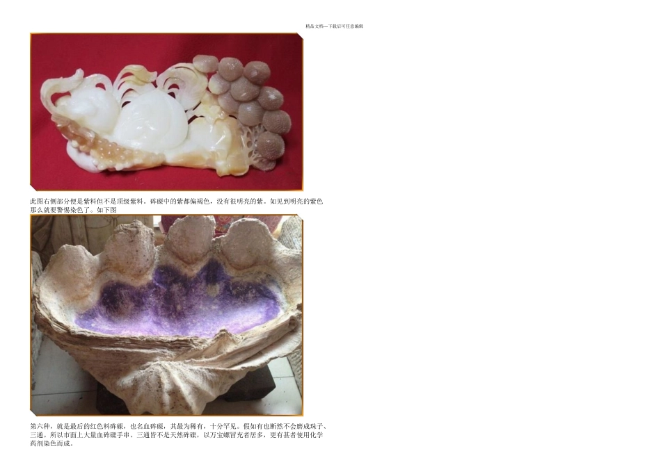 教你认识砗磲家族的成员_第3页