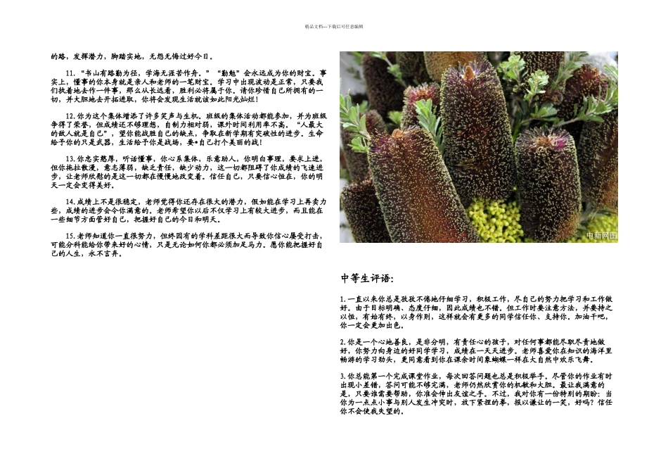 教师评语大全_第2页