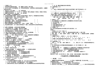 教科六年级科学上册期末复习题及答案全