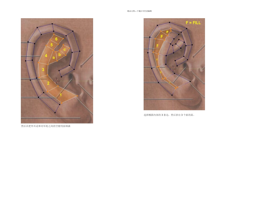 教程之简单制作逼真耳朵模型_第2页