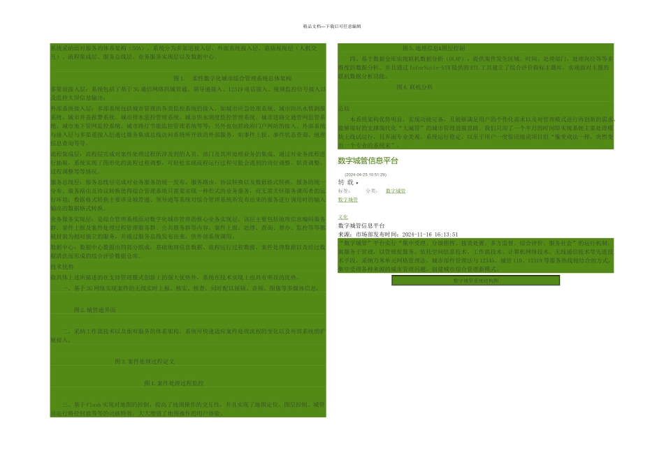 数字化城市管理_第2页