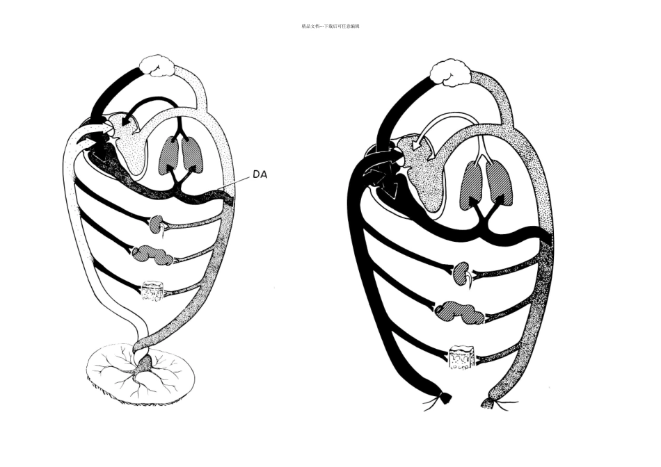 新生儿窒息复苏_第2页