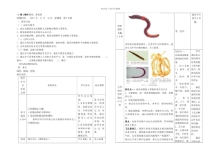 无脊椎动物的主要类群