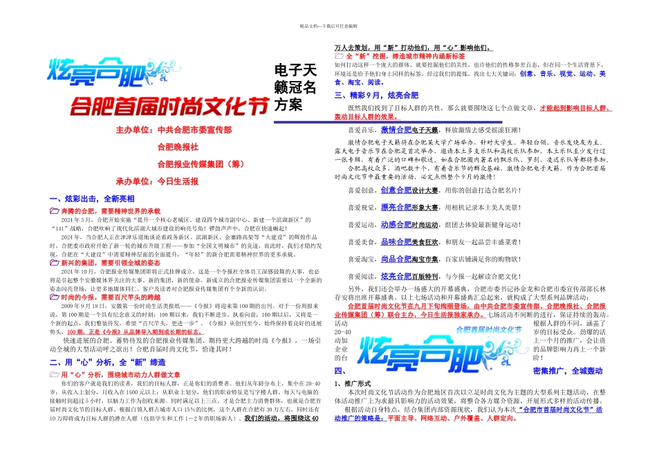 时尚文化节电子天籁冠名方案_第1页