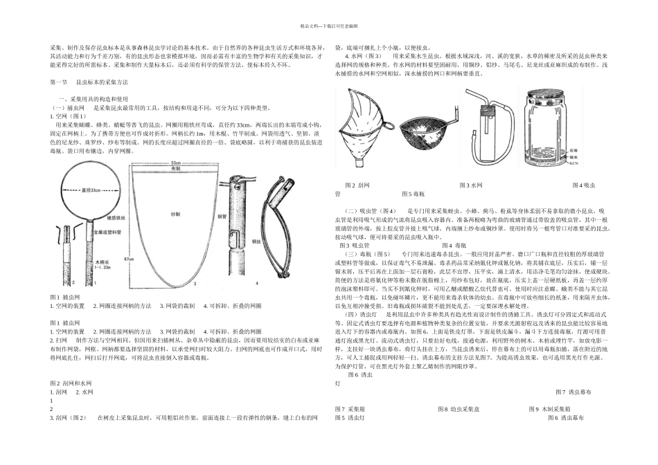 昆虫标本的采集制作及保存方法_第1页
