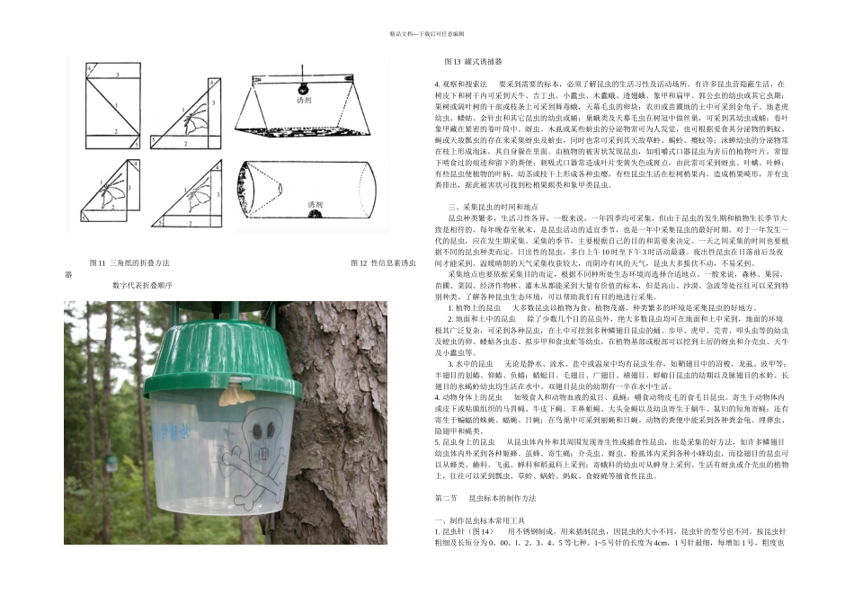 昆虫标本的采集制作及保存方法_第3页