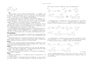 普拉格雷的简介