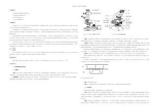 普通光学显微镜的结构与使用方法