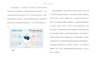 智能电动拖把方案