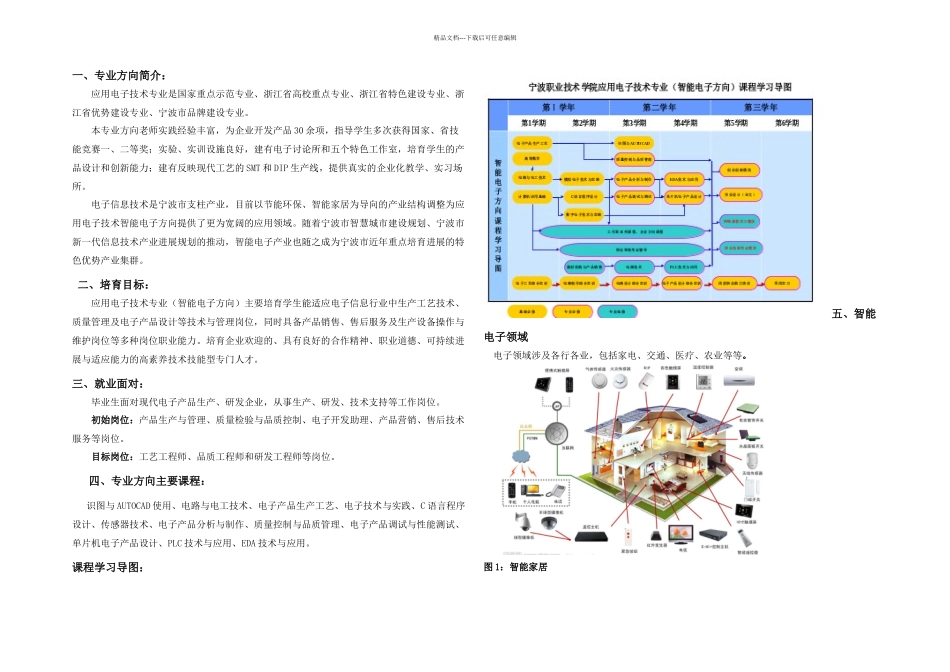 智能电子方向简介_第1页