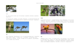 有趣的动物小学二年级收集任务