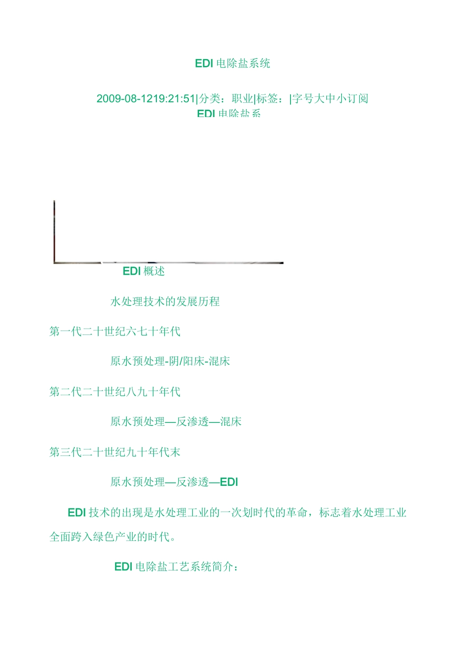 EDI电除盐系统_第1页