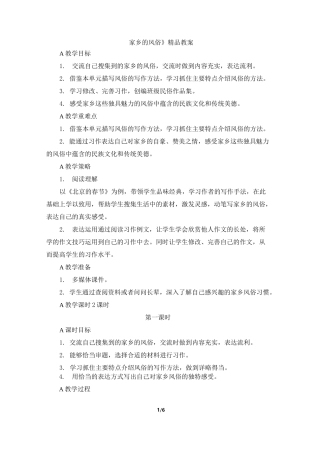 《家乡的风俗》精品教案