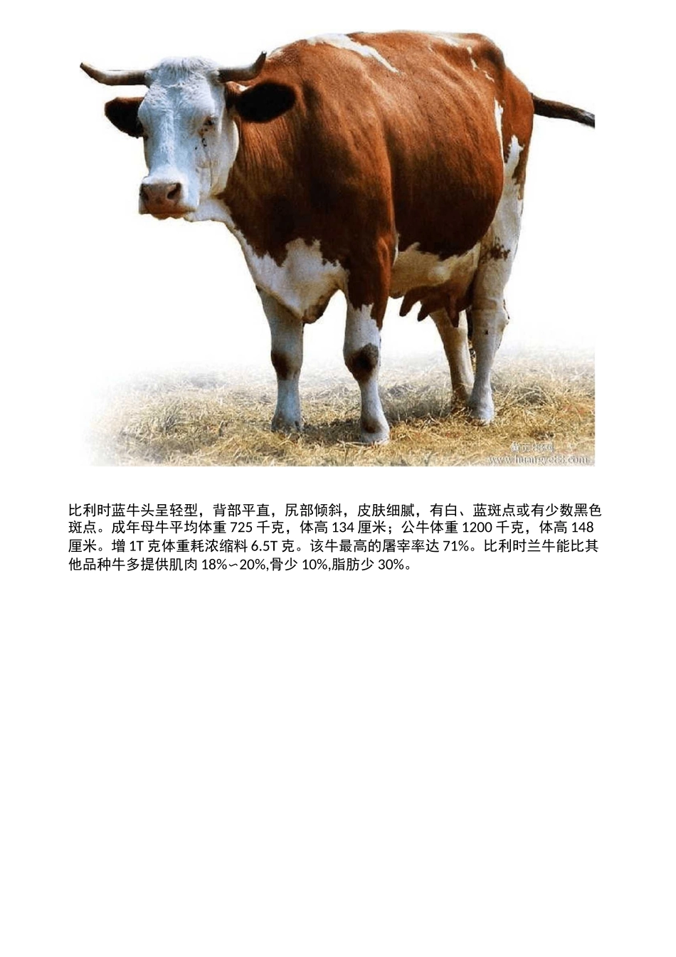 哪几种肉牛出肉率高_第2页