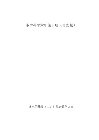 通电的线圈说课稿1