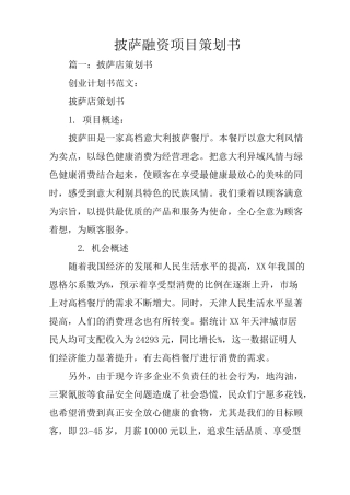 披萨融资项目策划书