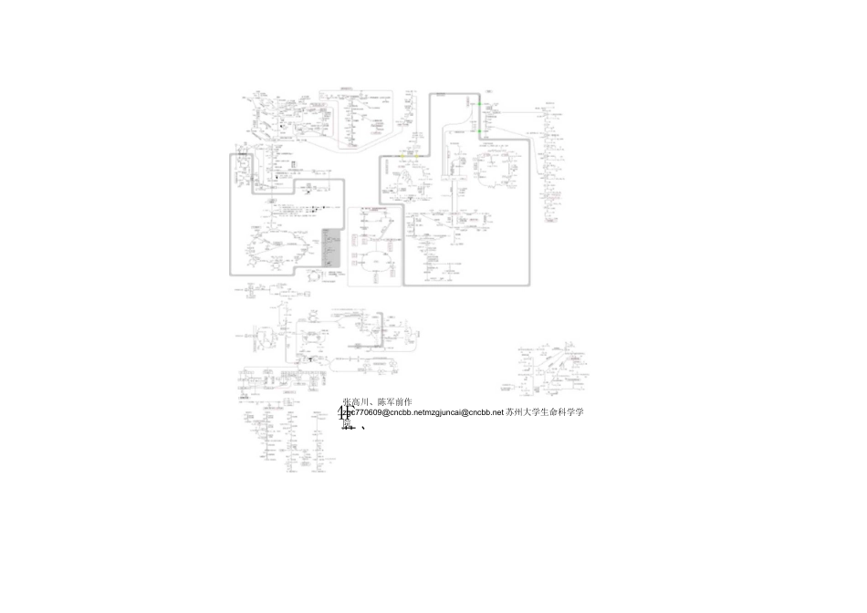 生物化学中三大物质代谢联系图_第2页