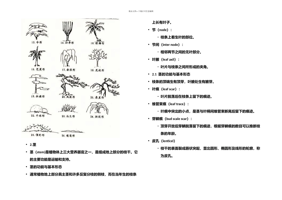 树形与枝条的形态术语_第2页