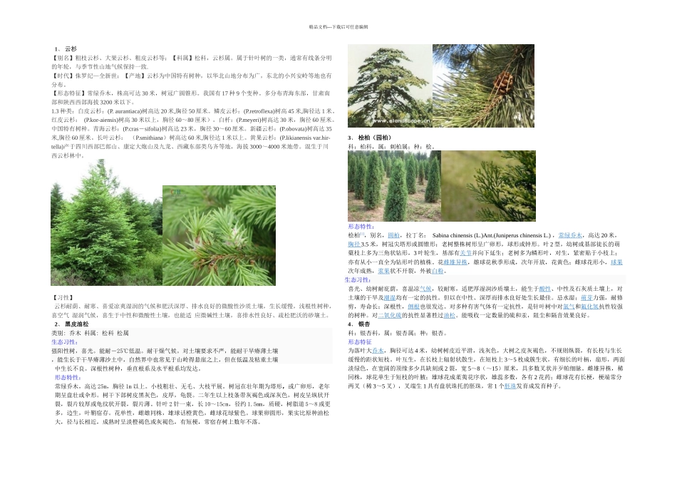 树木名称及特征_第1页