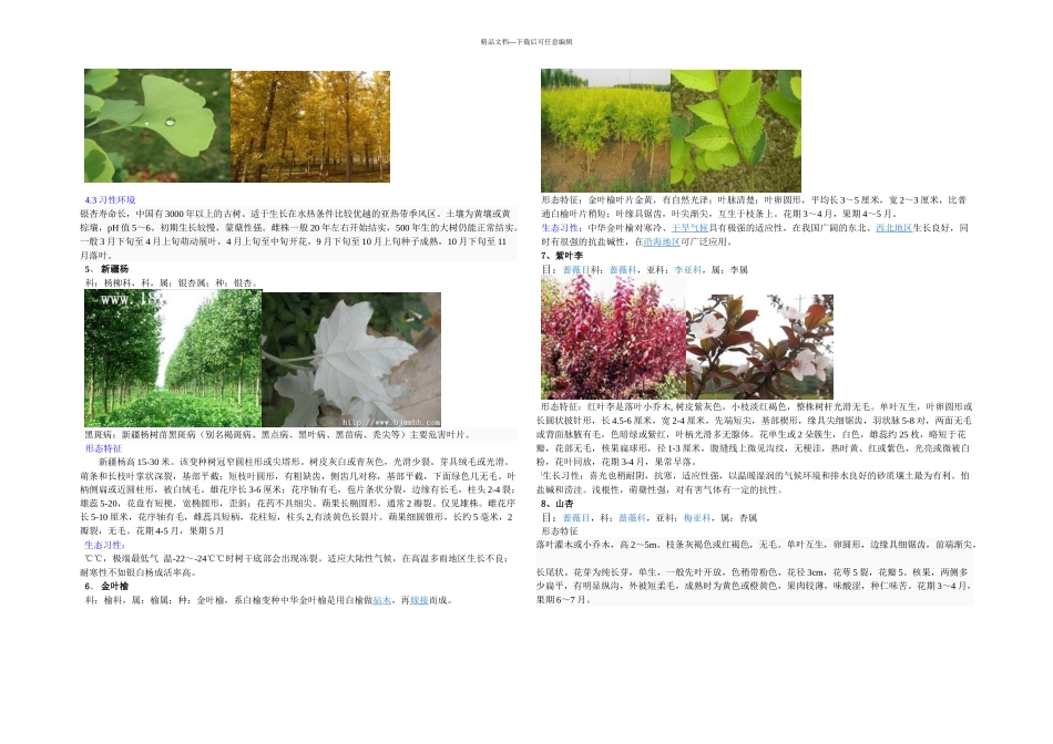 树木名称及特征_第2页