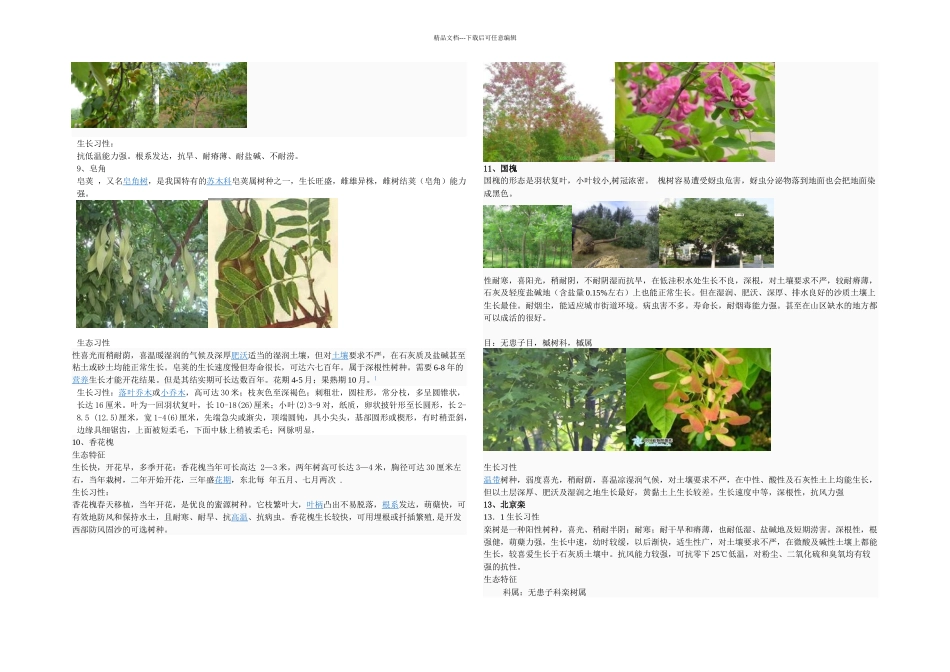 树木名称及特征_第3页