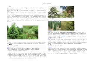 树木名称及特征