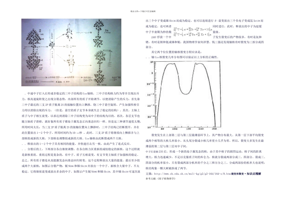 核的裂变具体位置_第2页