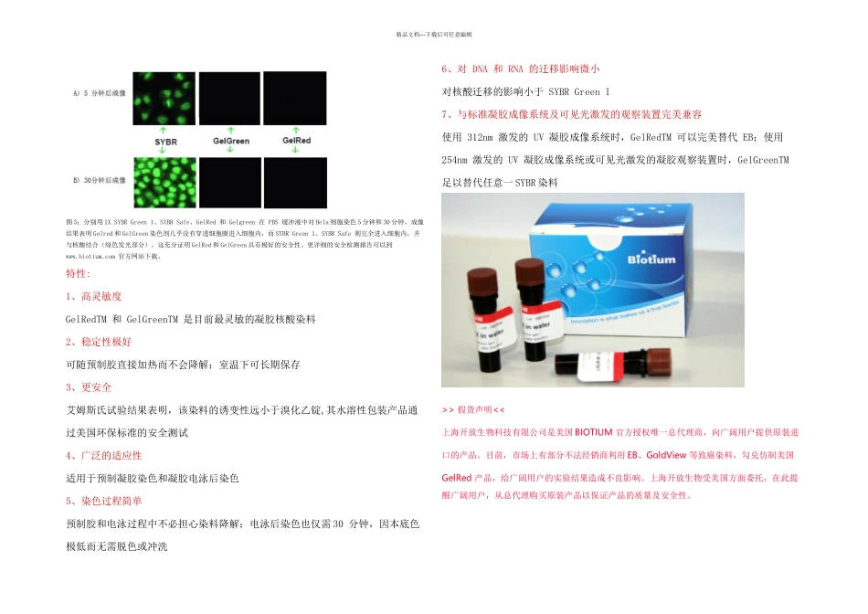 核酸凝胶染色剂GelRed_第2页