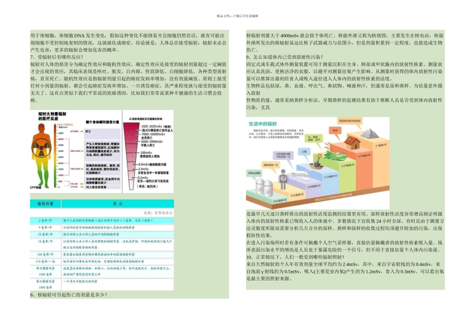 核辐射的危害性和防护措施_第2页