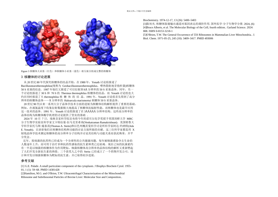 核糖体的研究综述_第2页