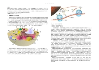 核糖体的研究综述