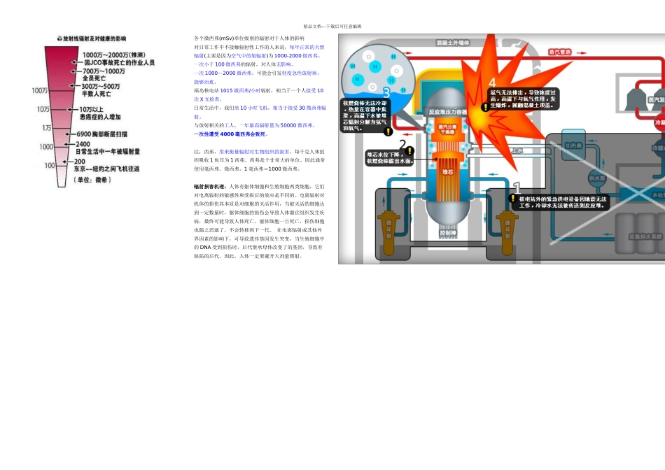 核辐射对人体健康的危害_第1页