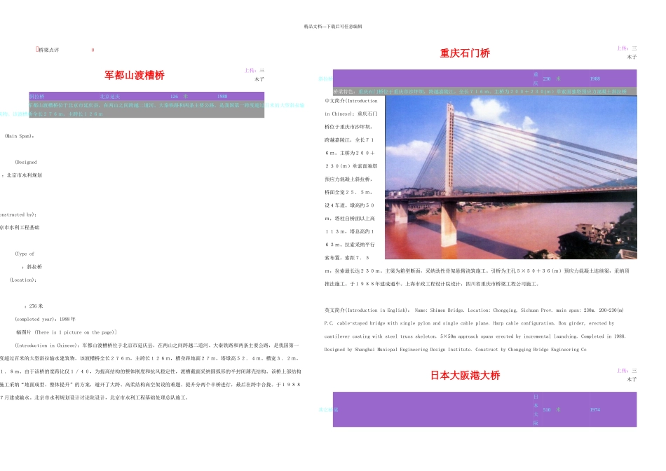 桥梁资料图文_第3页