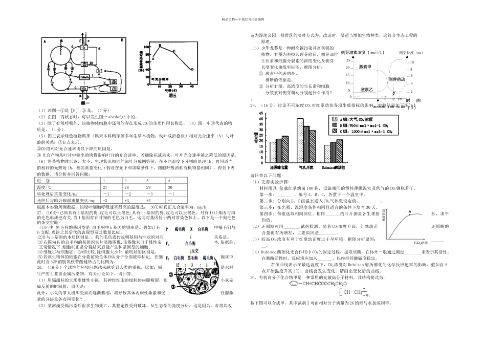 梅州中学三次模拟考试理综_第3页