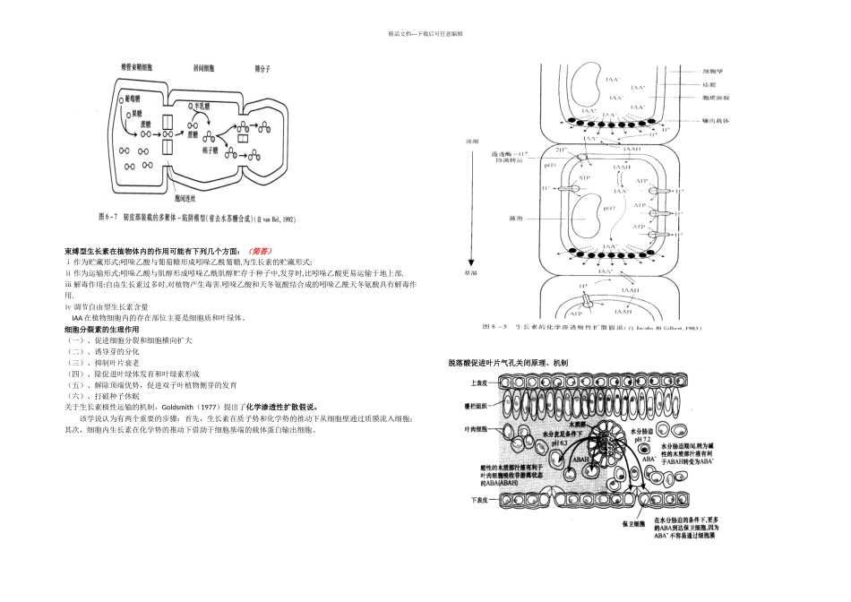 植物生理学重点集锦_第3页