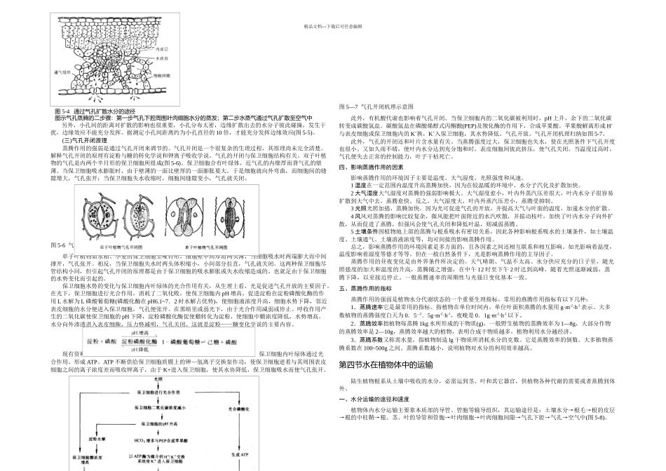 植物的水分代谢_第3页