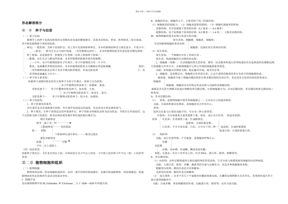 植物解剖及分类_第1页
