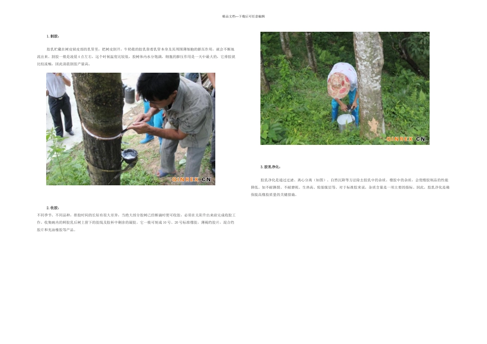 橡胶加工图文全过程_第1页