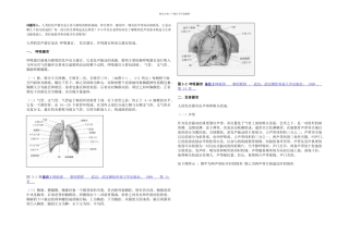 歌唱器官的构造与功能