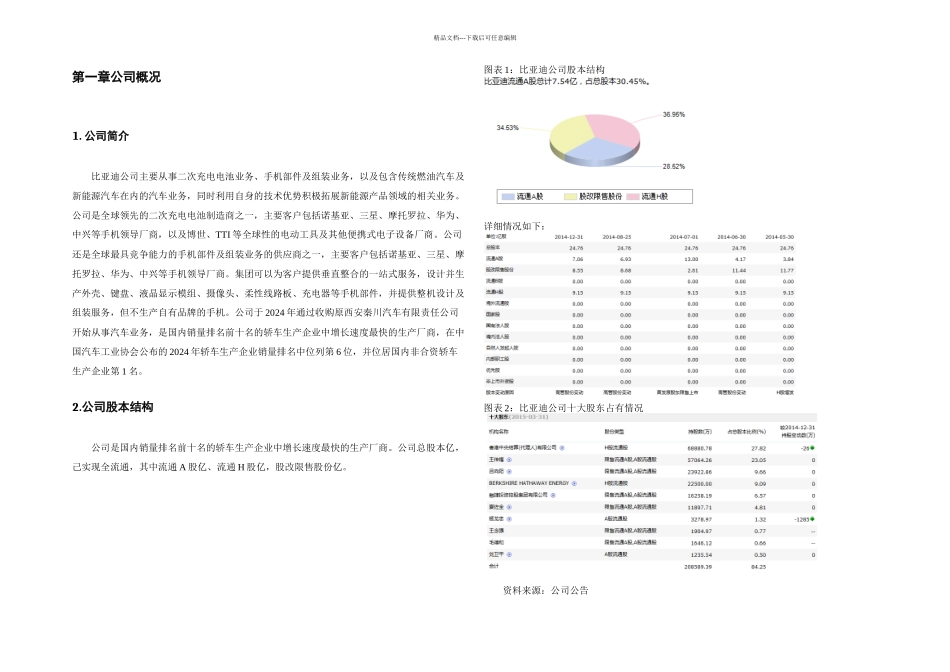 比亚迪公司分析_第3页