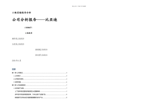 比亚迪公司分析