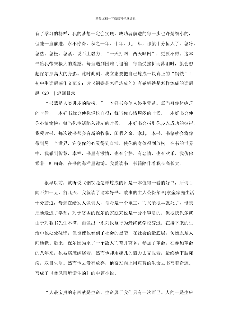 钢铁是怎样炼成的读后感_第2页