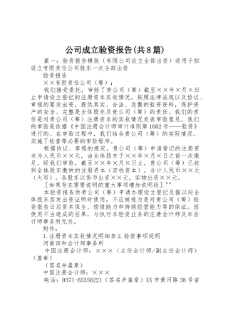 公司成立验资报告(共8篇)