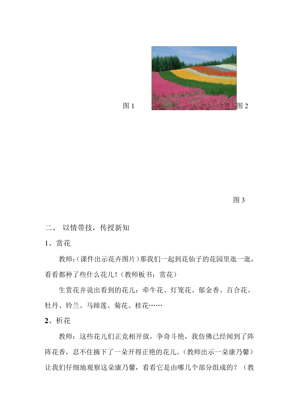 四年级上册美术教案《花儿朵朵》_第3页