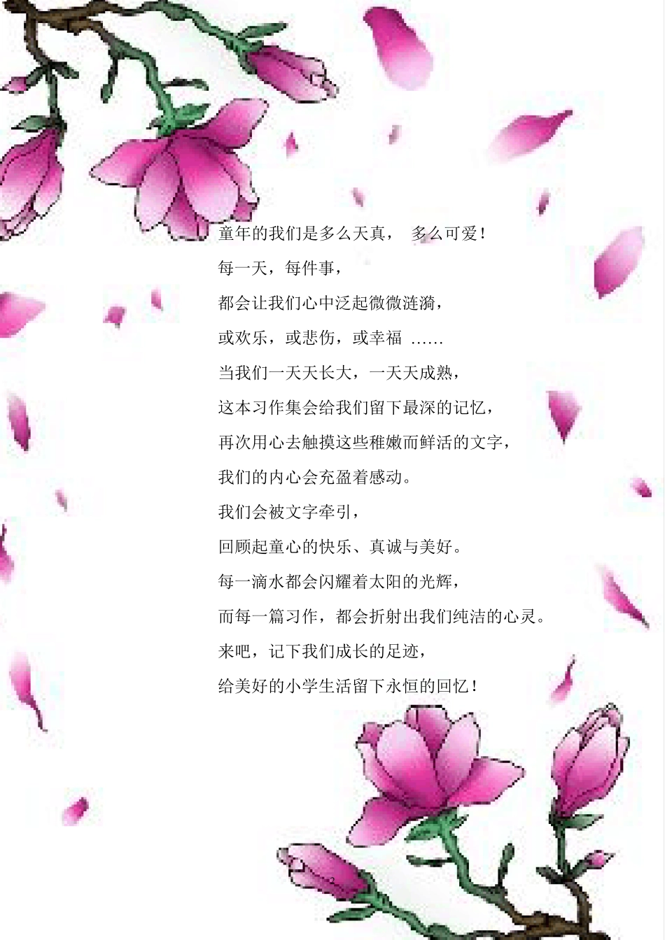 四年级小练笔_第2页