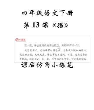 四年级语文下册《猫》课后仿写小练笔